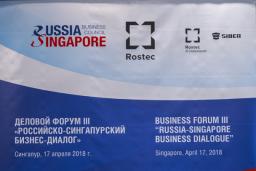 Business Mission of YSAR+ in Singapore